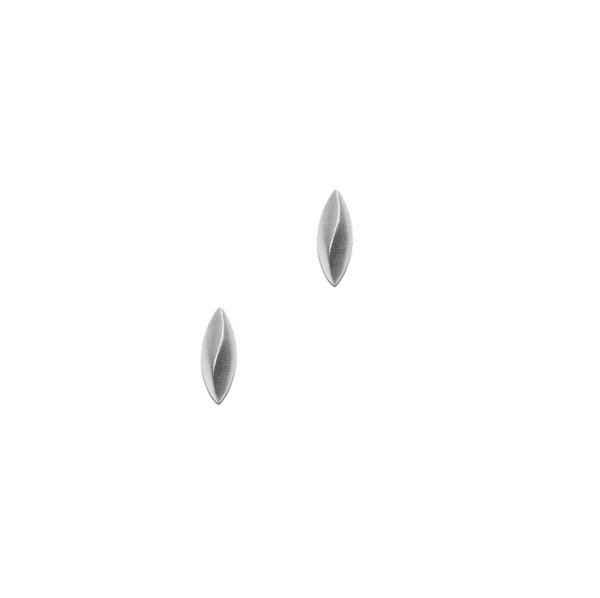 # Boucles d'oreilles argent 925